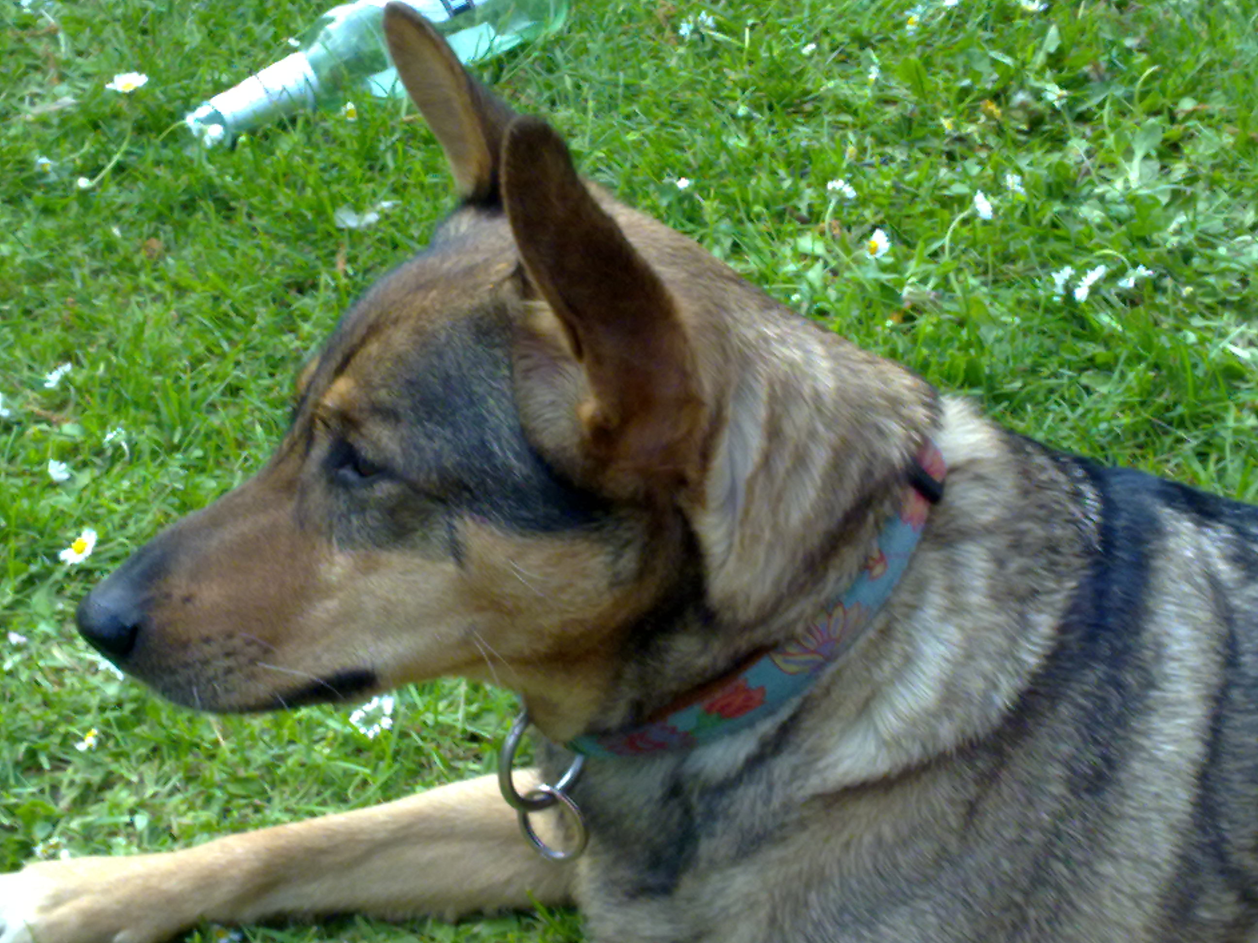 2011_04_22-25 Ostertreffen Winningen Mosel (5).jpg