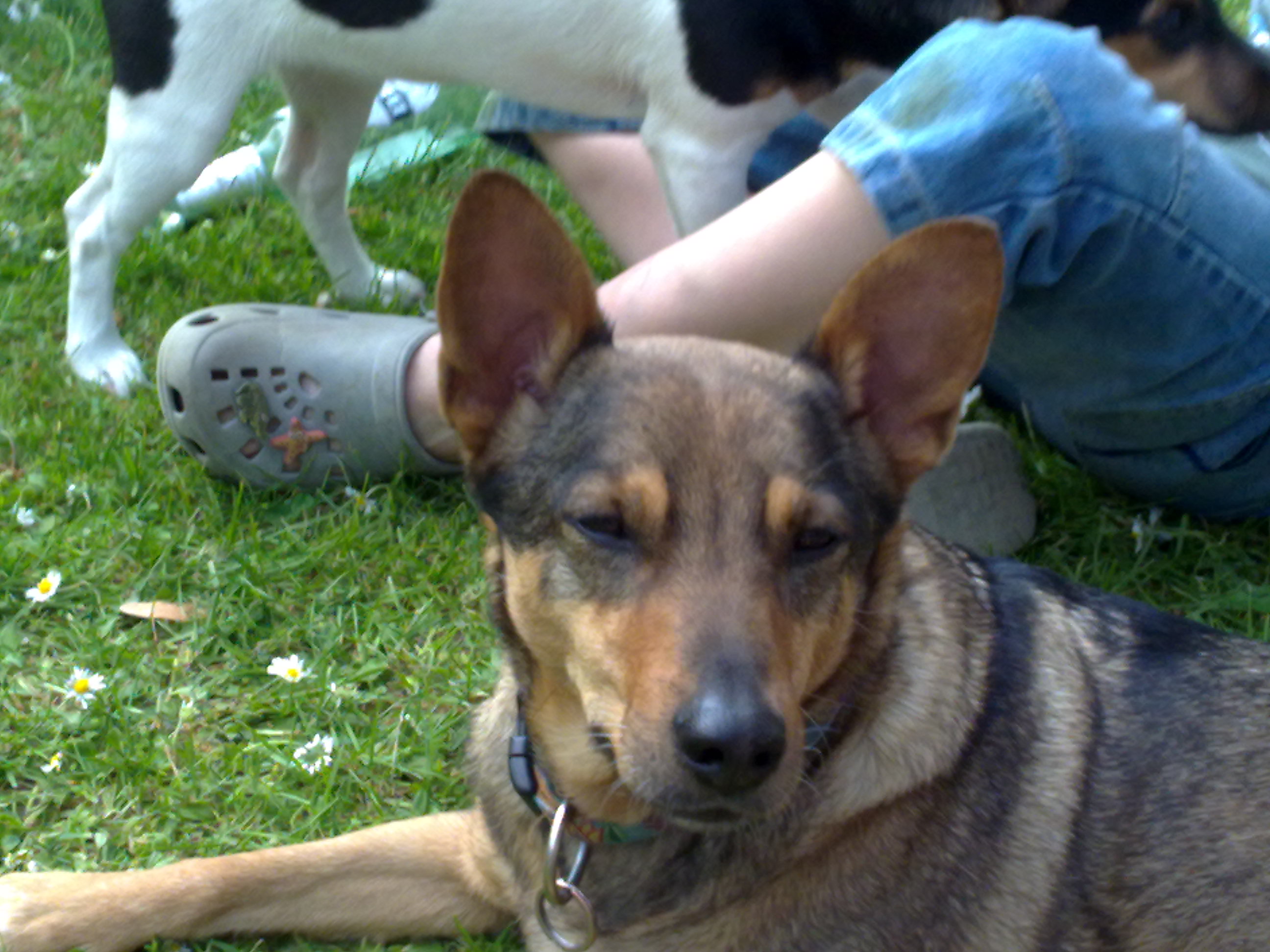 2011_04_22-25 Ostertreffen Winningen Mosel (6).jpg